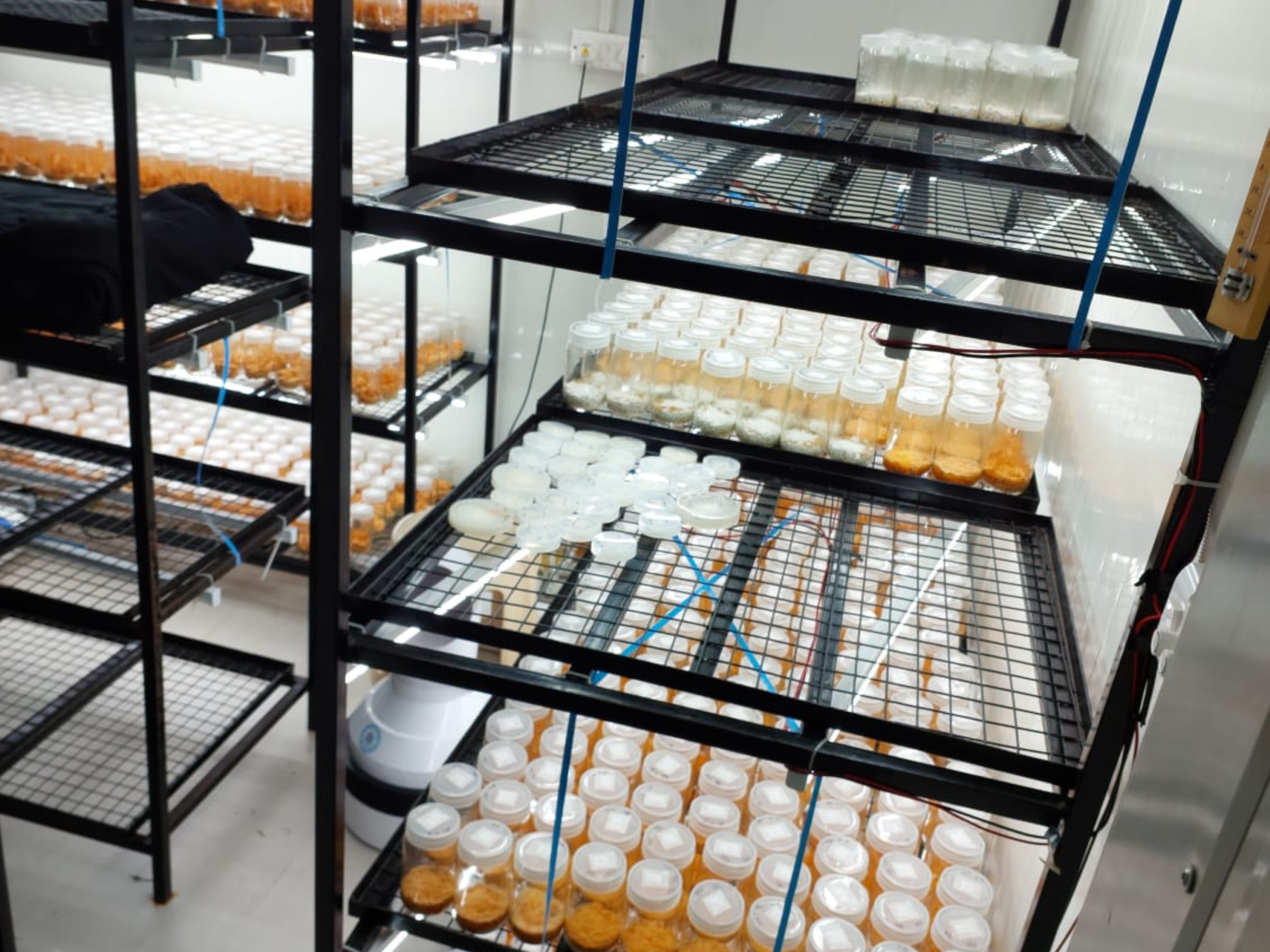 Biotech Lab Research