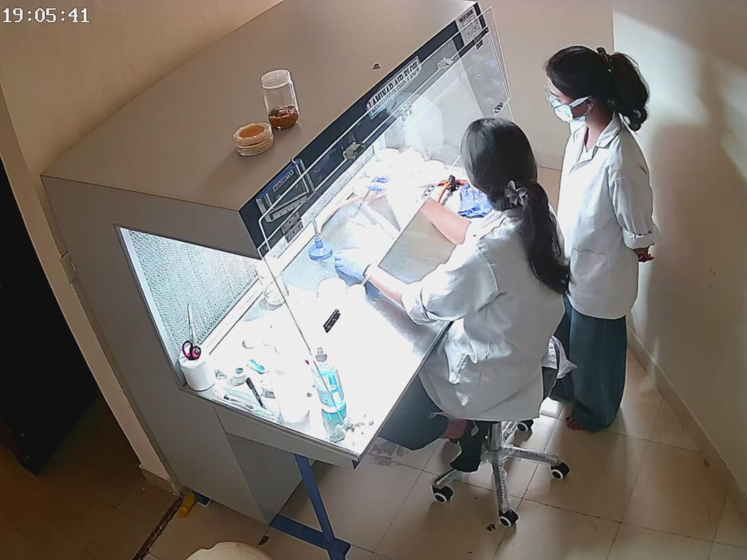 Plant Biotechnology