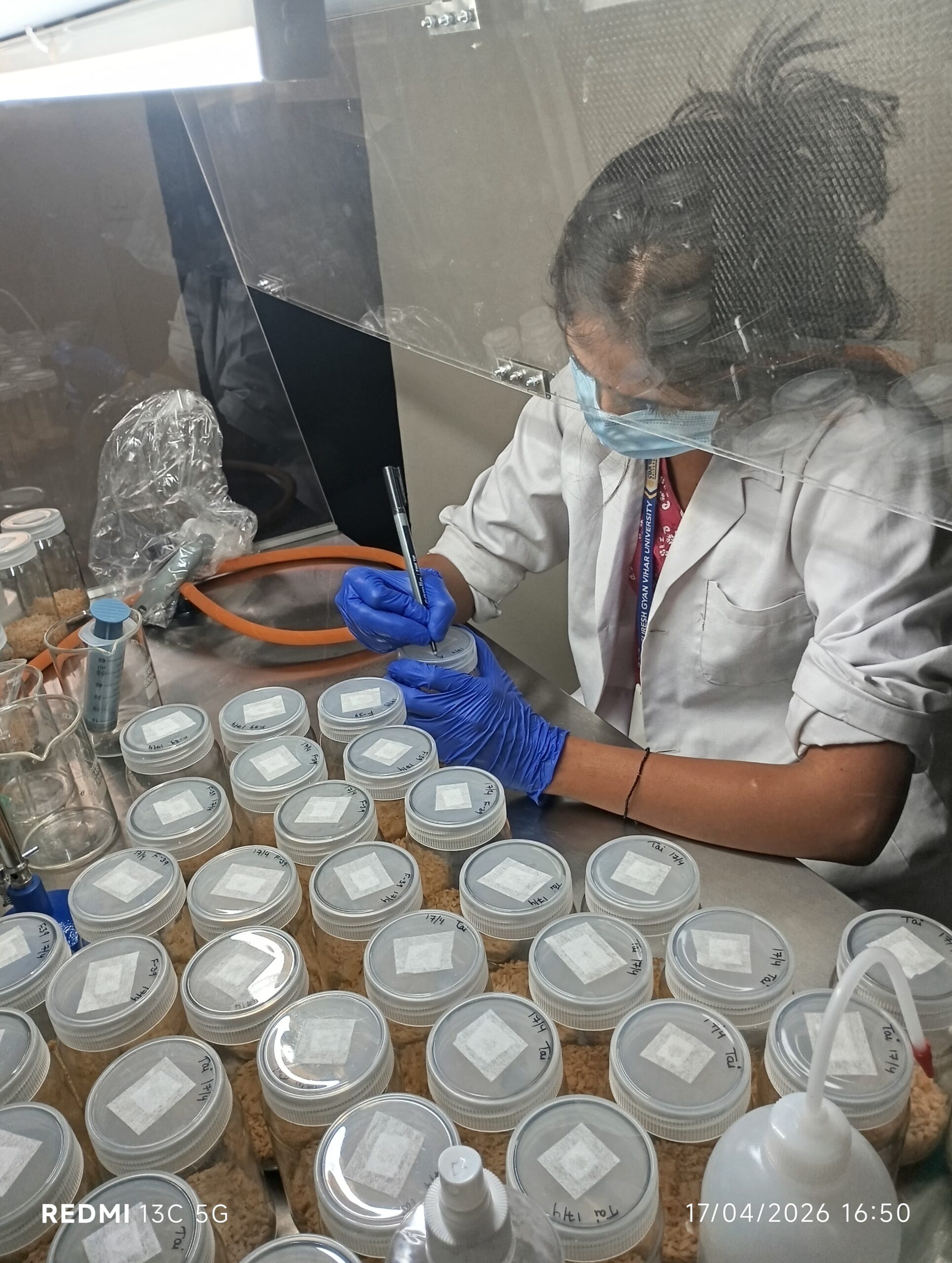 Laboratory Research