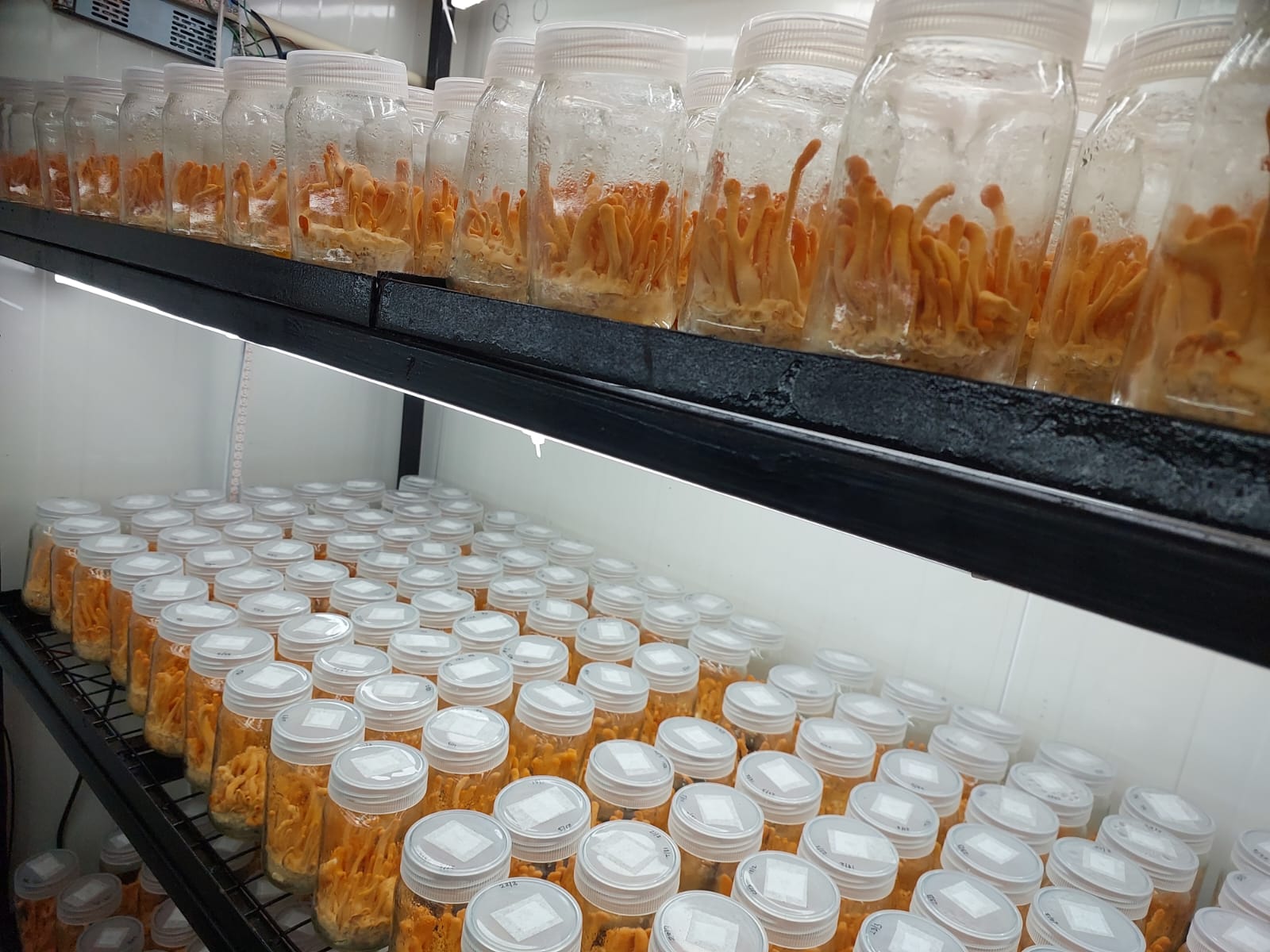 Biotech Lab Research