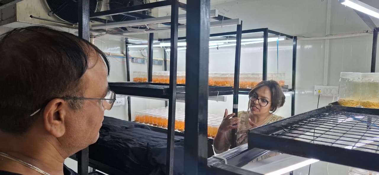Greenhouse Cultivation Study